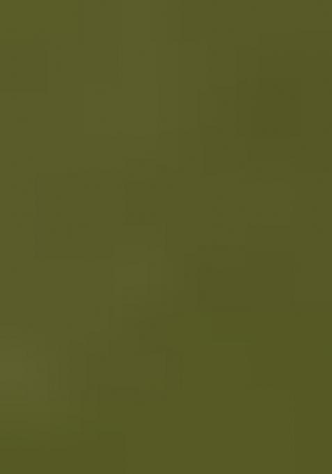 Green Printed Cotton Blended Lehenga Choli Set