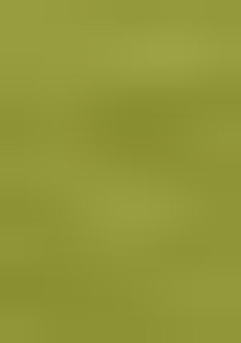 Light Green Printed Cotton Blended Lehenga Choli Set