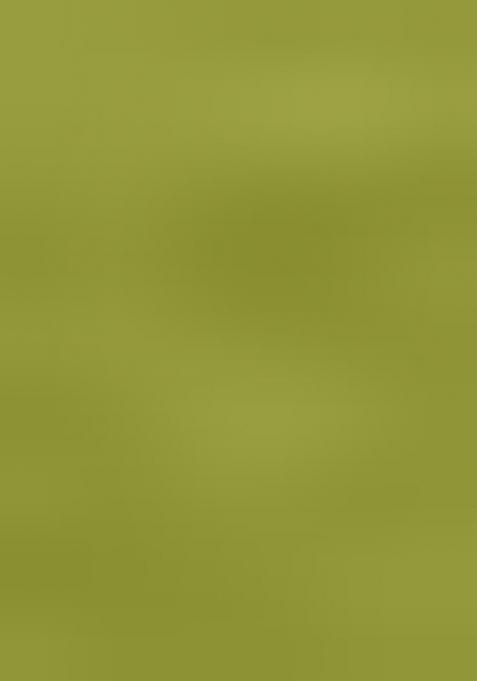 Light Green Printed Cotton Blended Lehenga Choli Set