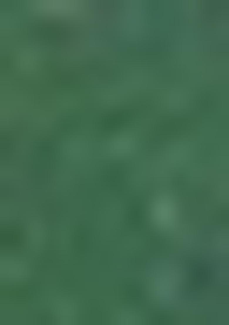 Dark Green Printed Cotton Blended Lehenga Choli Set - Indya