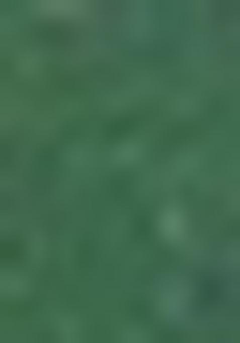 Dark Green Printed Cotton Blended Lehenga Choli Set