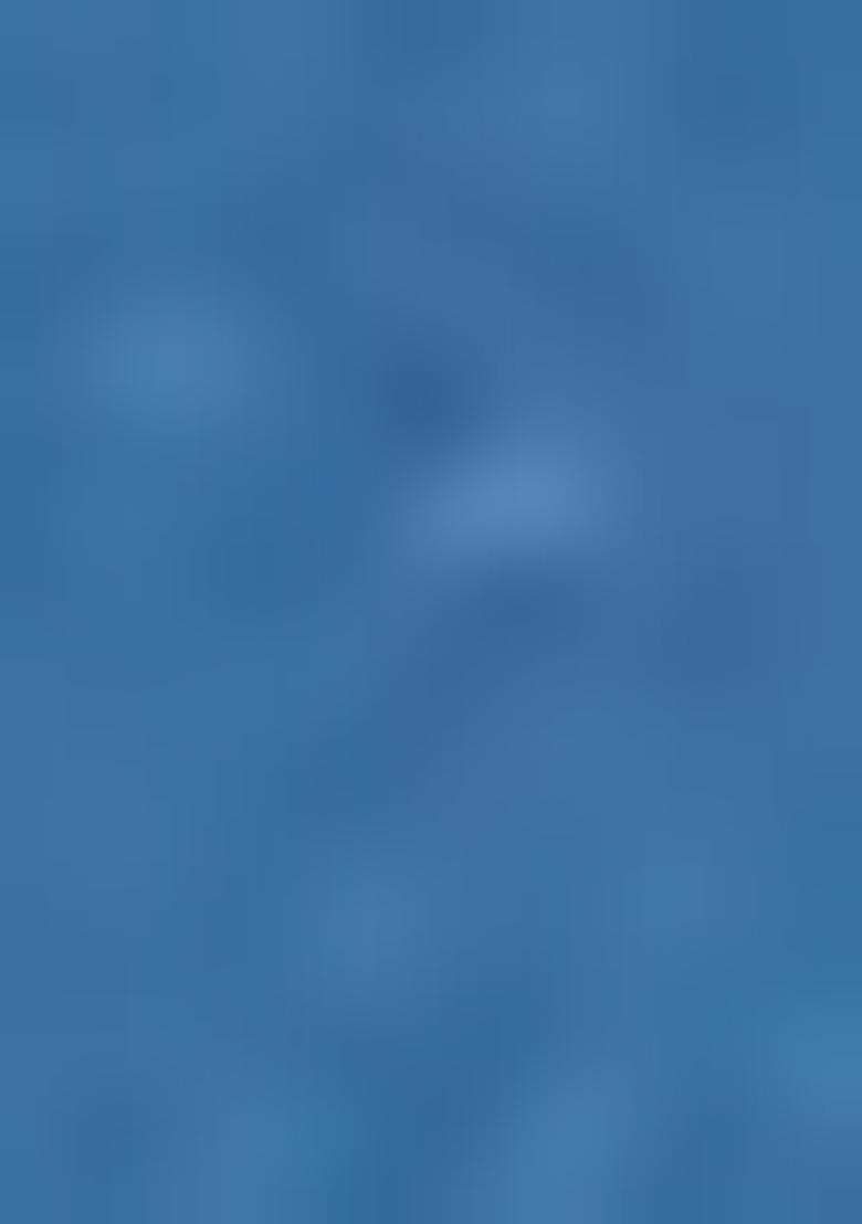 Light Blue Printed Cotton Blended Lehenga Choli Set - Indya