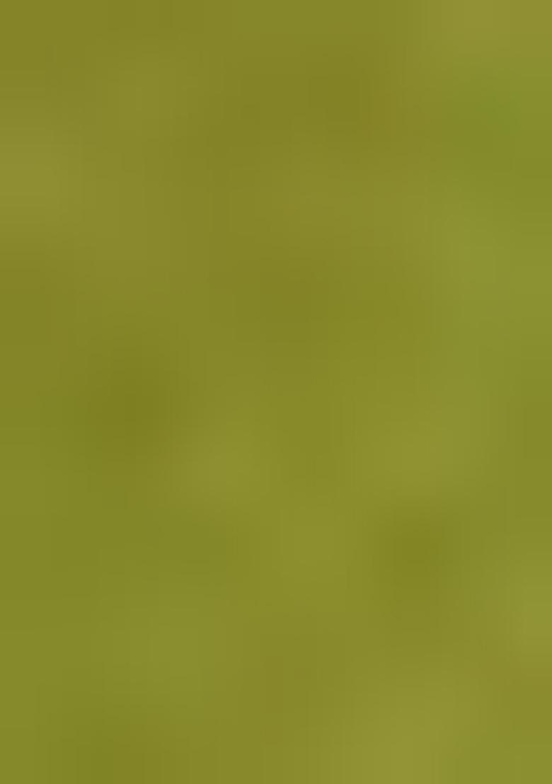 Light Green Printed Cotton Blended Lehenga Choli Set