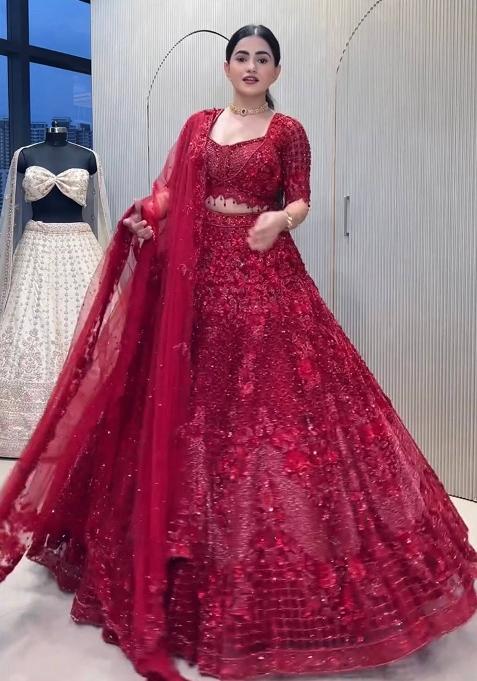 Red Thread Work Net Lehenga Set