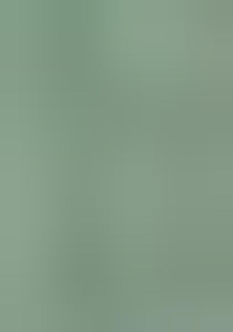 See Green Zari Embroidered Georgette Lehenga Set