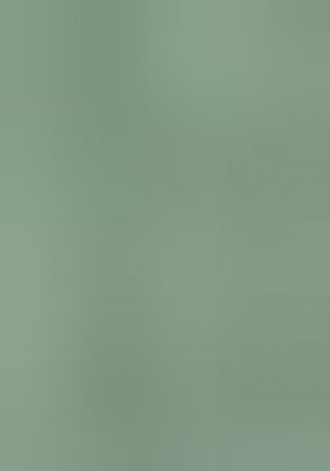 See Green Zari Embroidered Georgette Lehenga Set