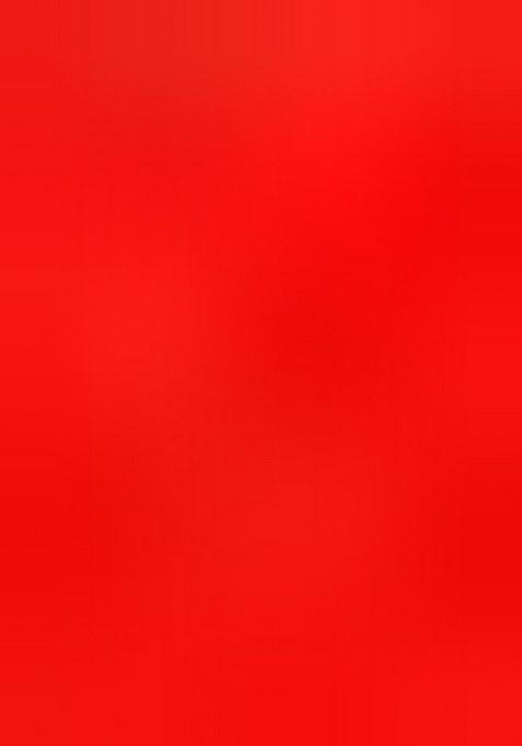 Red Embroidery Work Net Women Lehenga Choli