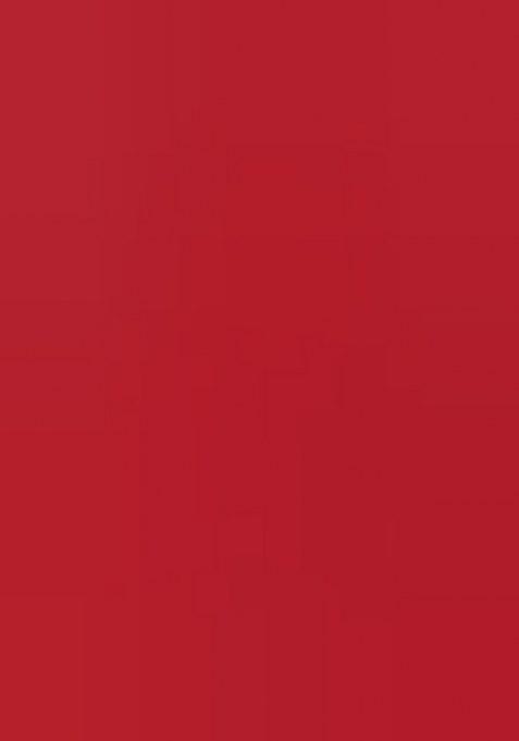 Red Embroidery Work Silk Women Lehenga Choli