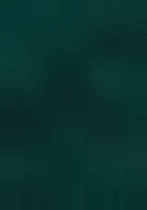 Green Embroidery Work Silk Women Lehenga Choli