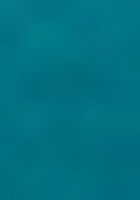 Green Embroidery Work Silk Women Lehenga Choli