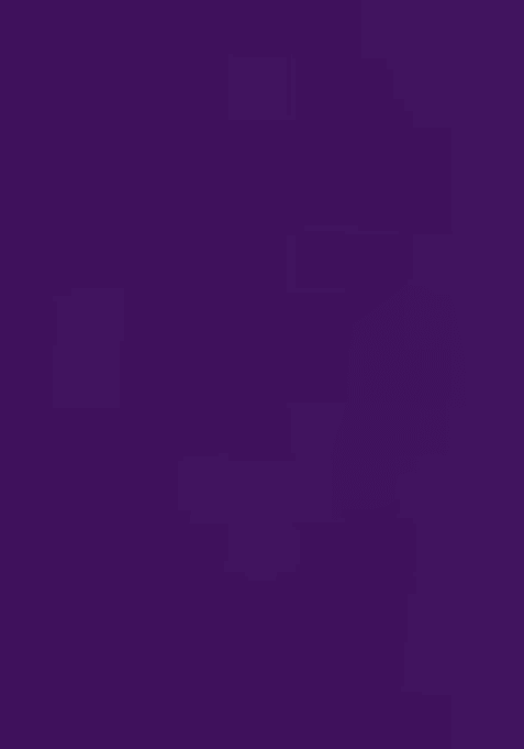 Purple Embroidered Georgette Lehenga Choli Set