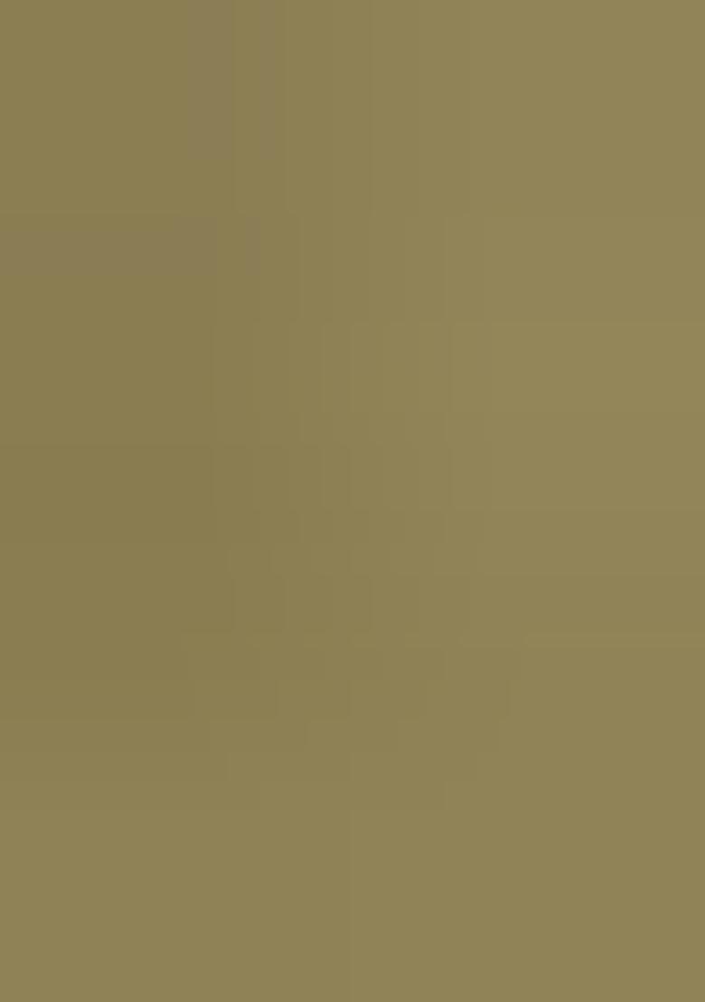 Mahendi Embroidered Fendy Lehenga Choli