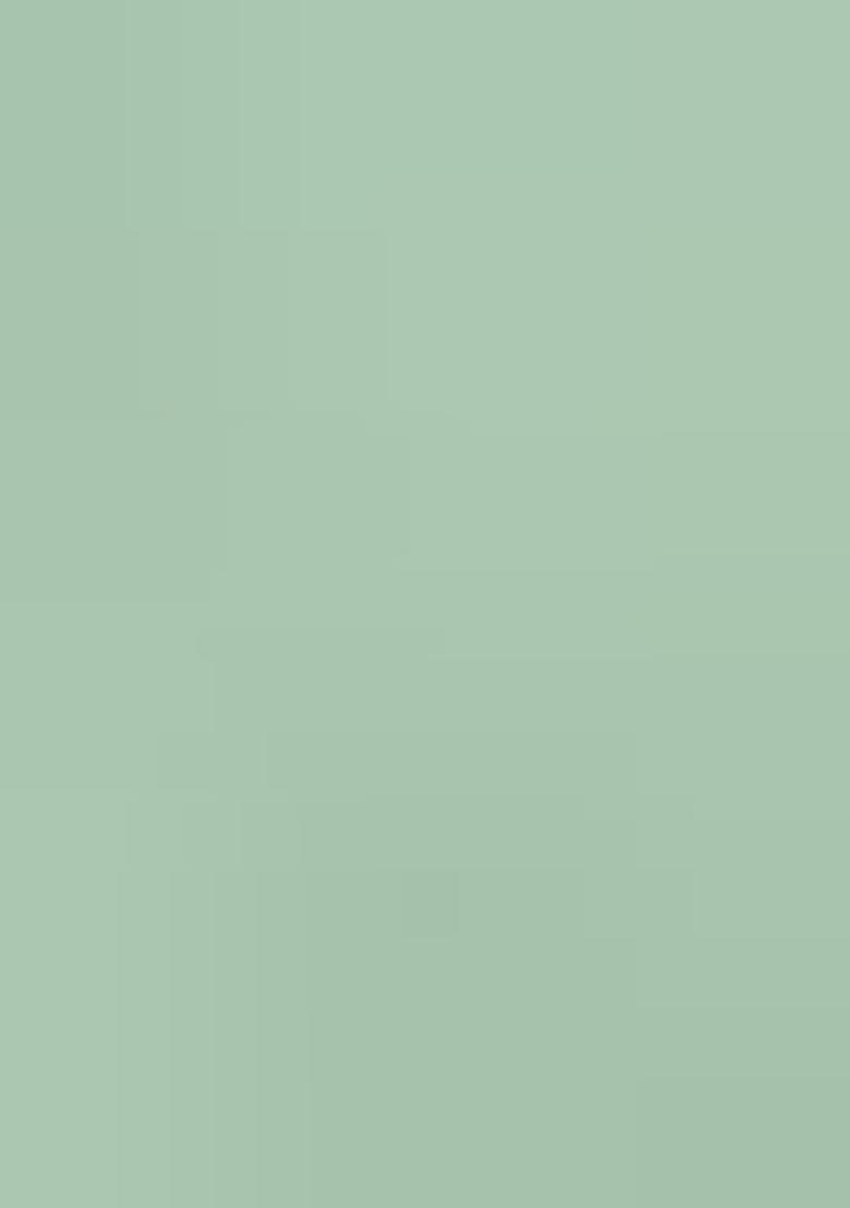 Seagreen Embroidered Georgette Lehenga Choli