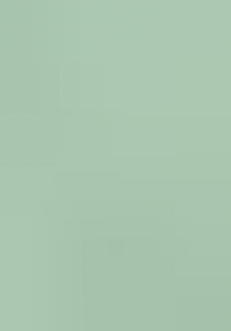 Seagreen Embroidered Georgette Lehenga Choli