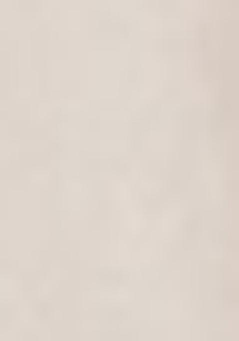 White Thread Embroiderey Viscose Cotton Lehenga Set