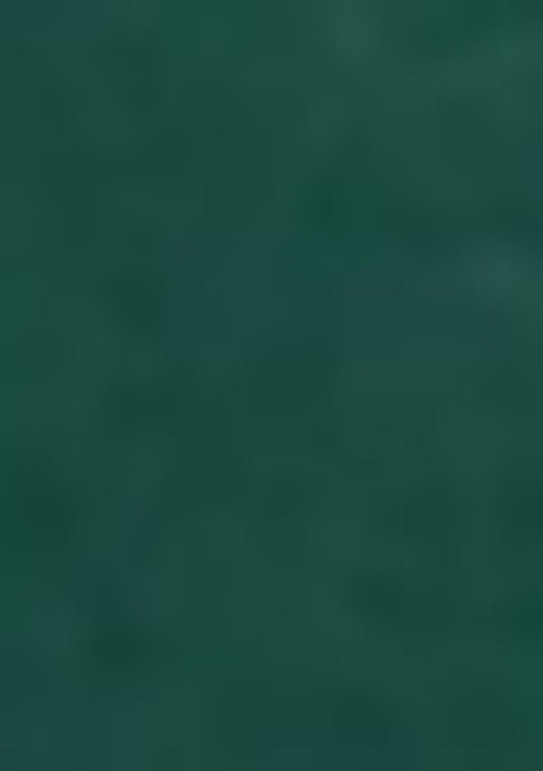 Green And Orange Thread Embroiderey Viscose Cotton Lehenga Set