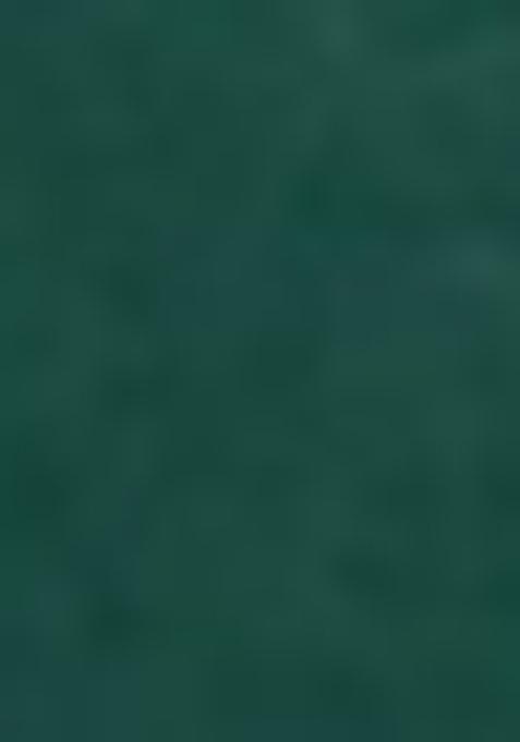 Green And Orange Thread Embroiderey Viscose Cotton Lehenga Set