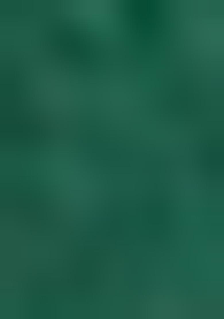 Orange And Green Thread Embroiderey Viscose Cotton Lehenga Set