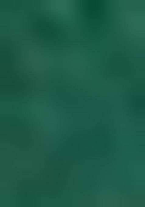 Orange And Green Thread Embroiderey Viscose Cotton Lehenga Set