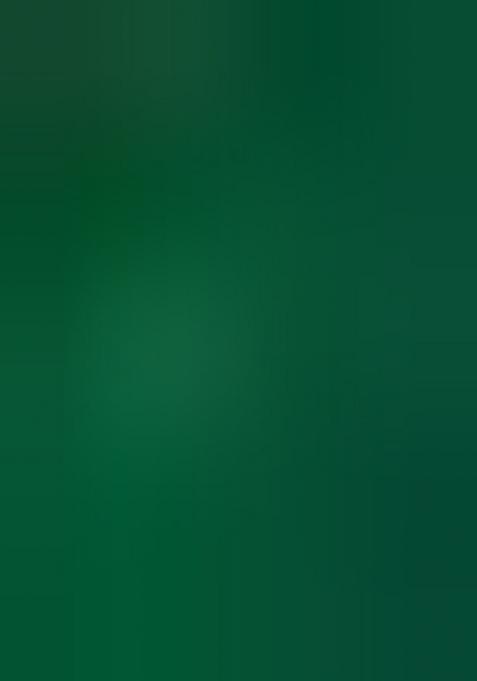 Multicolor Embroidered Blended Lehenga Set