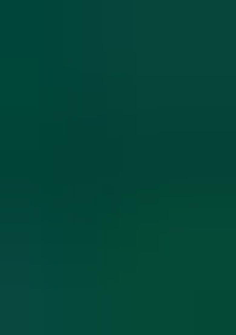 Multicolor Embroidered Blended Lehenga Set