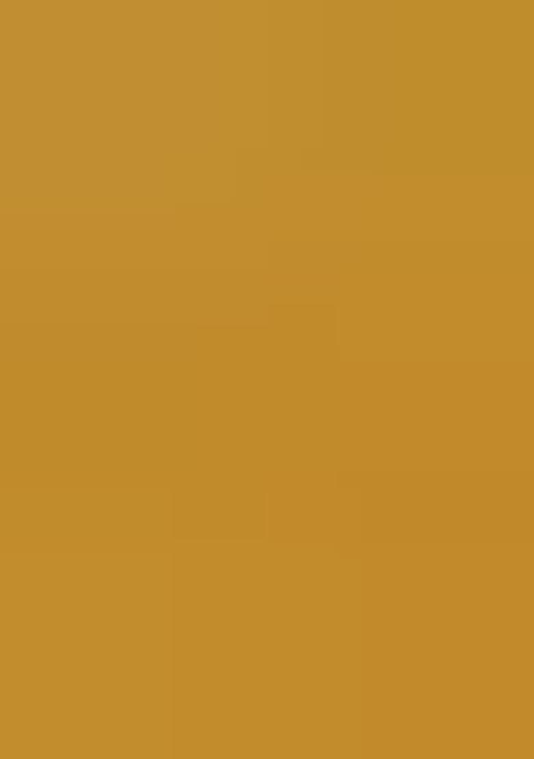 Yellow Embroidered Blended Lehenga Choli