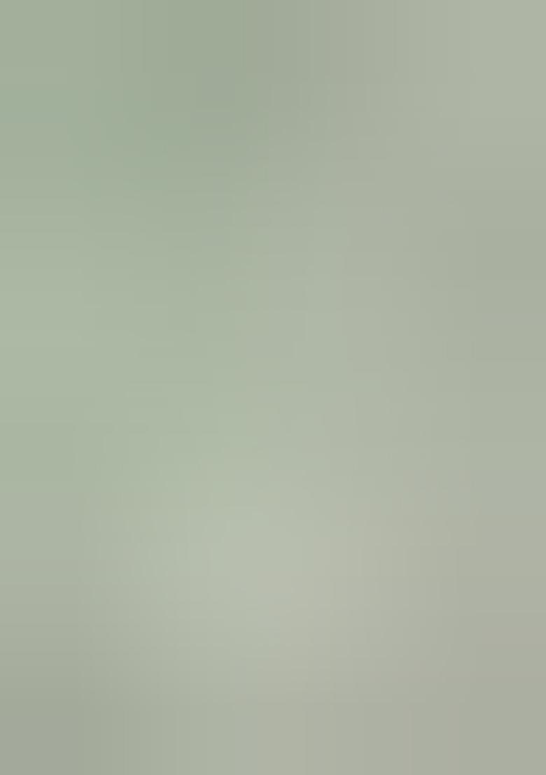 Pista Green Embroidered Blended Lehenga Set