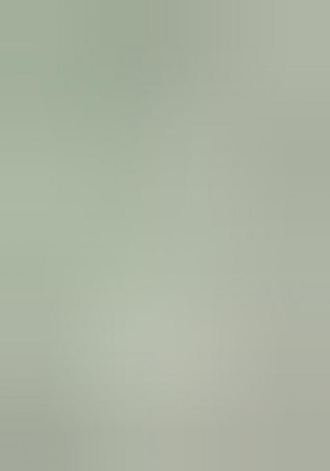 Pista Green Embroidered Blended Lehenga Set