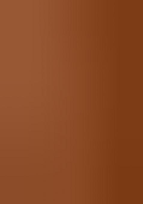 Brown Embroidered Blended Lehenga Set