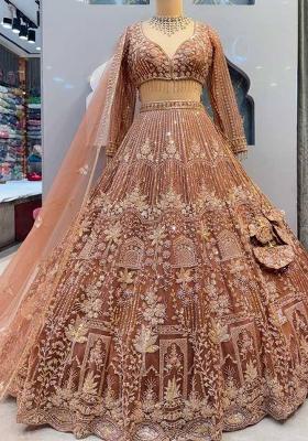 Light Brown Embriodery Soft Net Lehenga Set