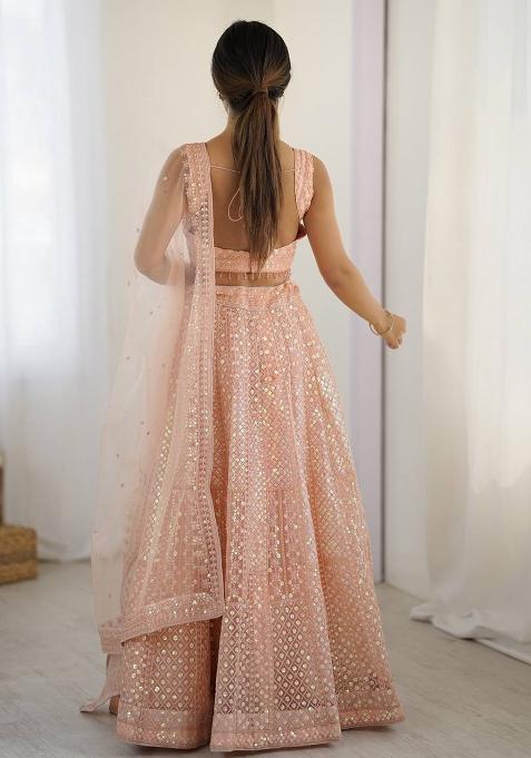 Peach Embroidered Net Lehenga Set