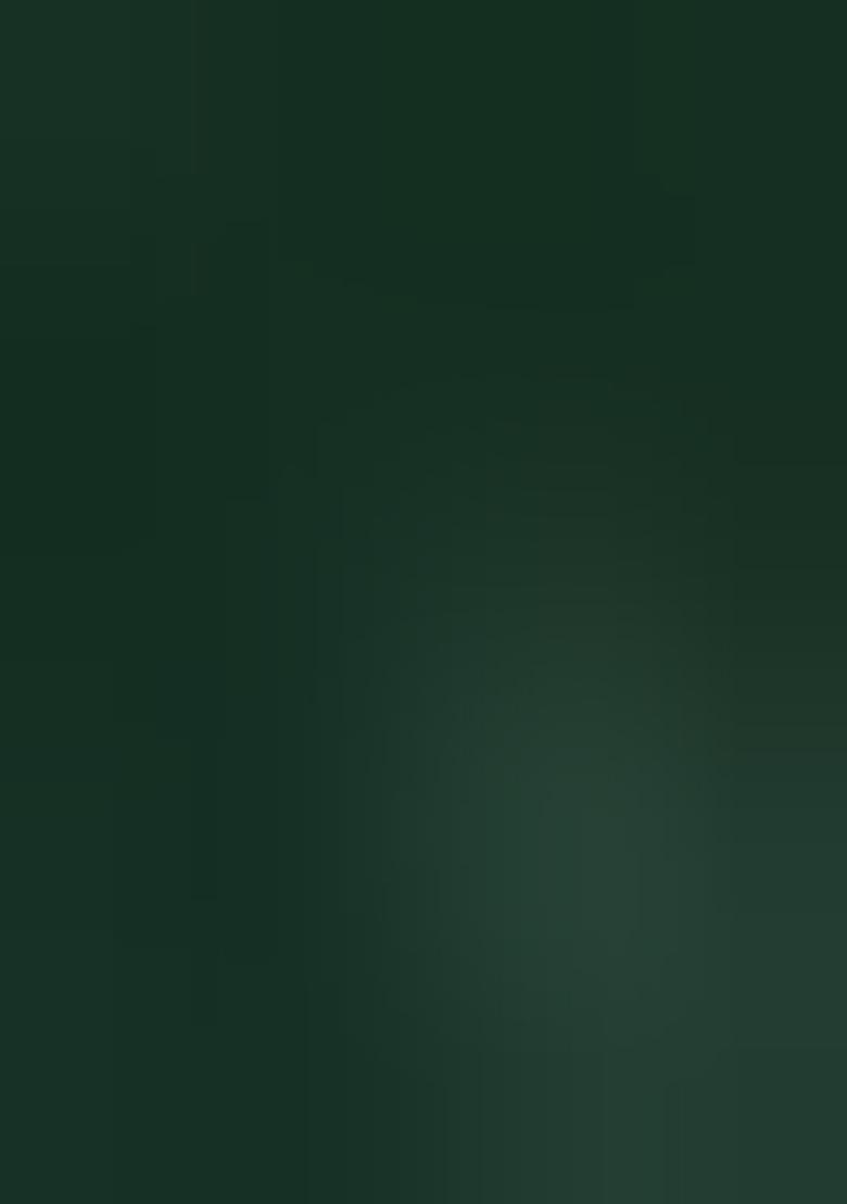 Green Embroidered Net Lehenga Set