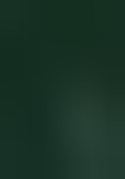 Green Embroidered Net Lehenga Set