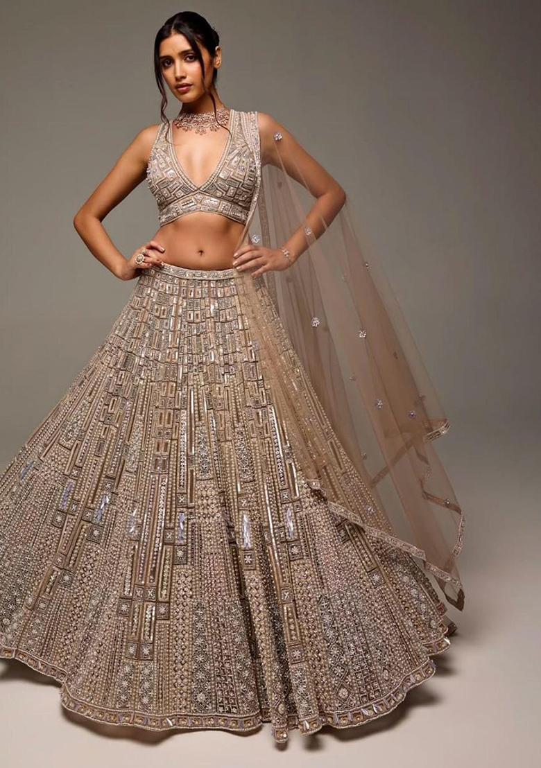 Brown Embroidered Soft Butterfly Net Lehenga Set
