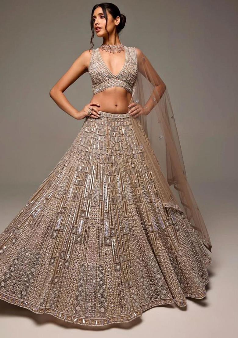 Brown Embroidered Soft Butterfly Net Lehenga Set
