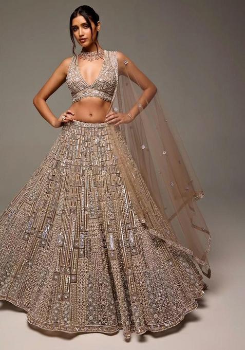 Brown Embroidered Soft Butterfly Net Lehenga Set