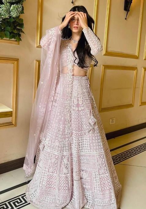 Light Pink Embroidered Soft Butterfly Net Lehenga Set