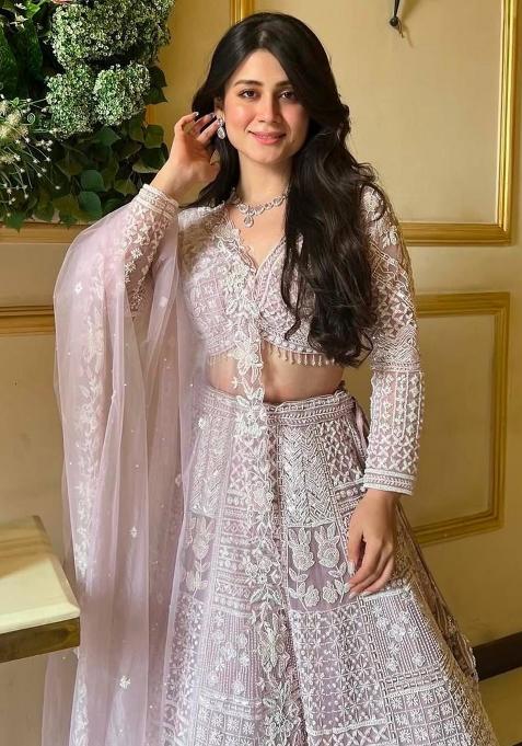 Light Pink Embroidered Soft Butterfly Net Lehenga Set