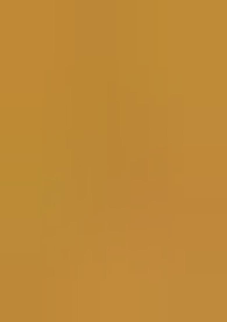 Light Golden Embroidered Butterfly Net Lehenga Set