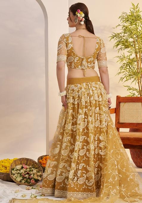 Light Golden Embroidered Butterfly Net Lehenga Set