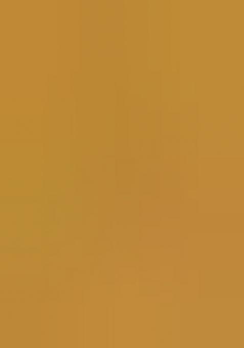 Light Golden Embroidered Butterfly Net Lehenga Set