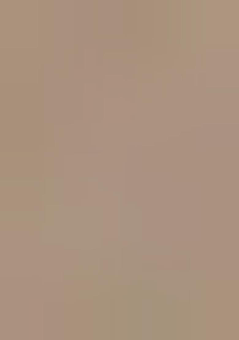 Grey Embroidered Butterfly Net Lehenga Set