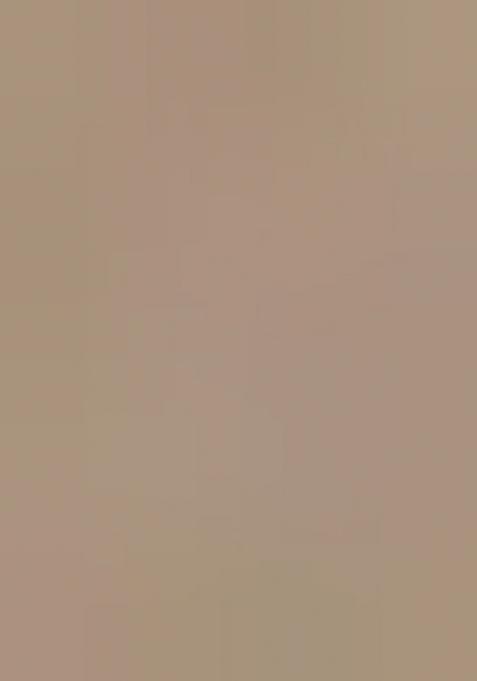 Grey Embroidered Butterfly Net Lehenga Set