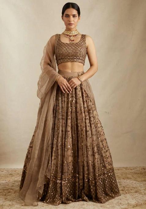 Brown Embroidered Net Lehenga Set