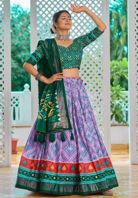 Multicolor Embroidered Silk Lehenga Set