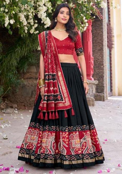 Multicolor Embroidered Silk Lehenga Set