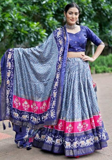 Multicolor Embroidered Silk Lehenga Set