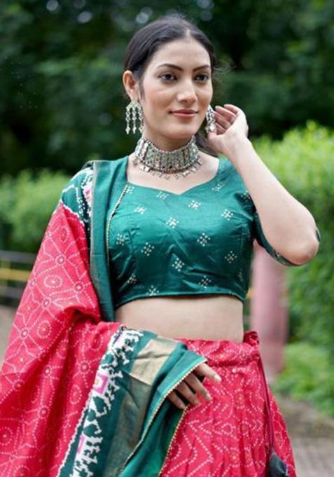 Multicolor Embroidered Silk Lehenga Set