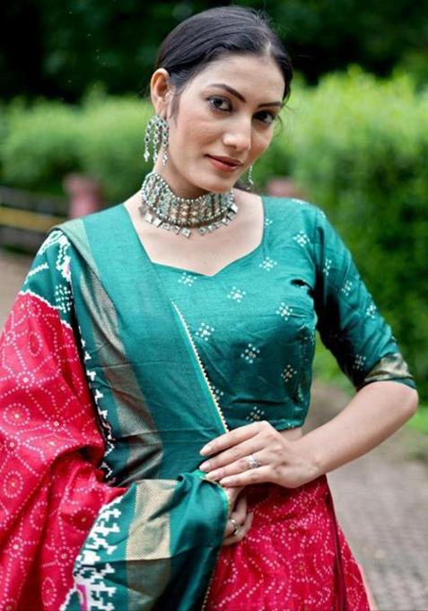 Multicolor Embroidered Silk Lehenga Set