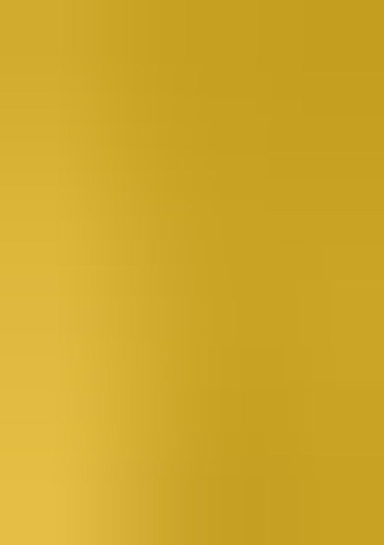 Multicolor Embroidered Silk Lehenga Set